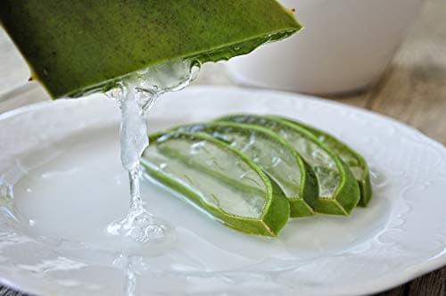 Tabaiba Aloe Vera Hydratierungsiegel Für Trockenhafte Haut, 300ml (1er Pack)