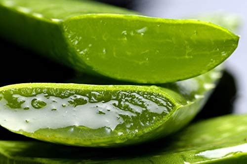 Tabaiba Aloe Vera Hydratierungsiegel Für Trockenhafte Haut, 300ml (1er Pack)