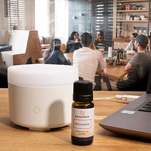 Naissance Jojobaöl Gold - Für Haare und Haut - Kaltgepresst - 450ml - Massage und Kosmetik - Compact by Design